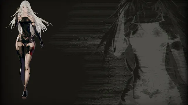 A2